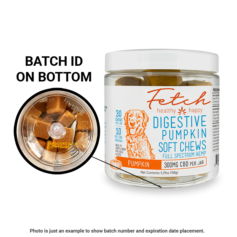 Digestive Pumpkin Soft Chews