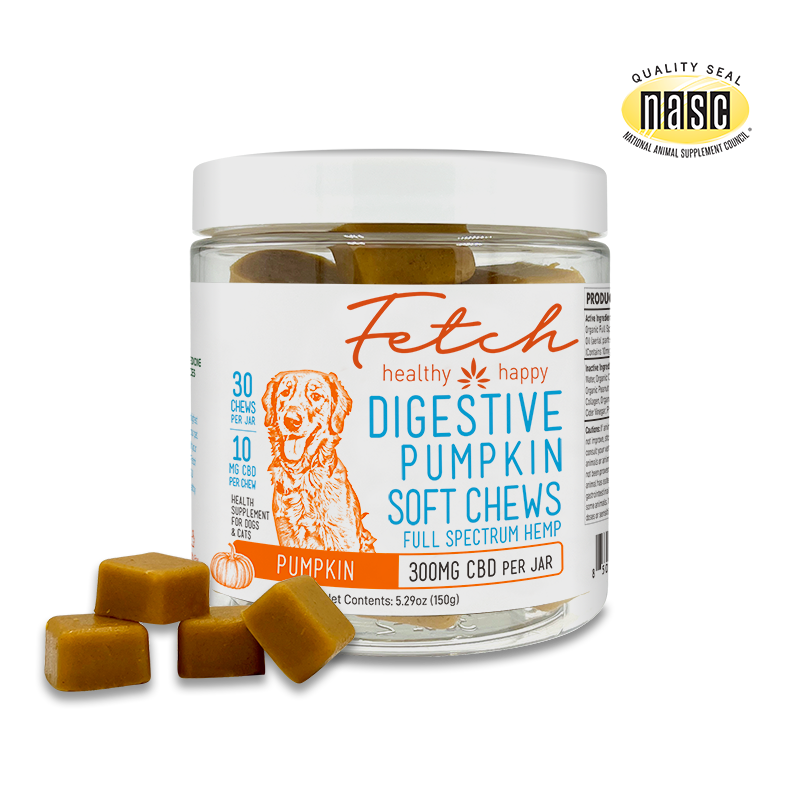 Digestive Pumpkin Soft Chews