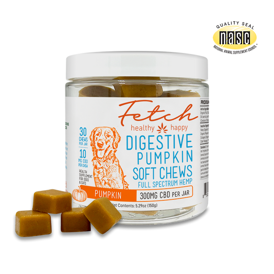 Digestive Pumpkin Soft Chews